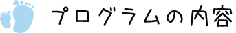プログラムの内容