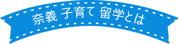 奈義子育て留学とは